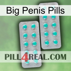 Big Penis Pills 29